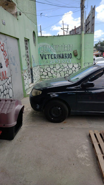 Foto 1 Consultório Veterinário Dra Lilian Maria