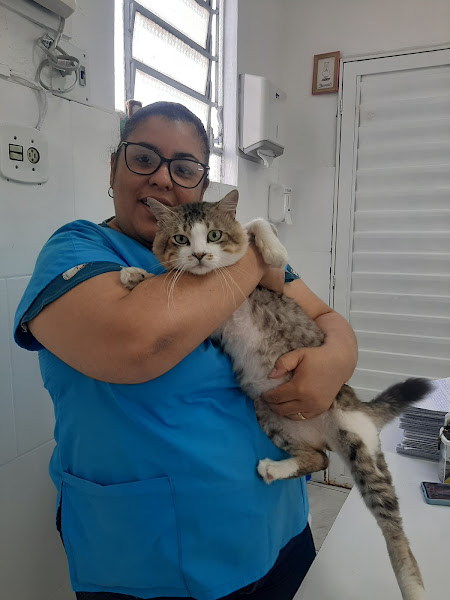 Foto 2 Consultório Veterinário Dra Lilian Maria