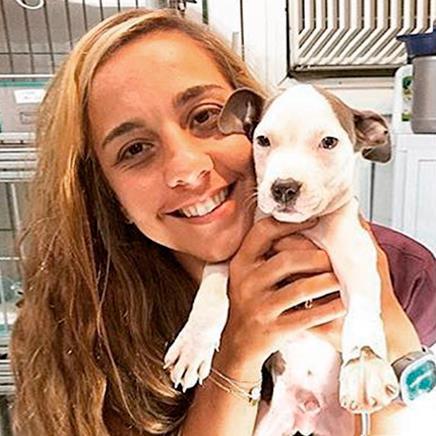 Foto 1 CIAV | Centro Intensivo de Apoio Veterinário