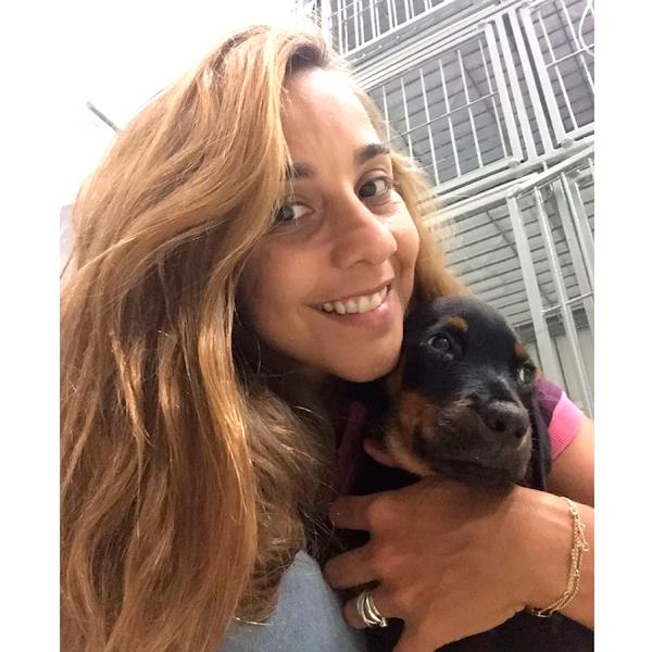 Foto 2 CIAV | Centro Intensivo de Apoio Veterinário