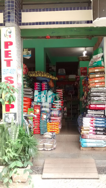 Consulta Veterinária em domicílio