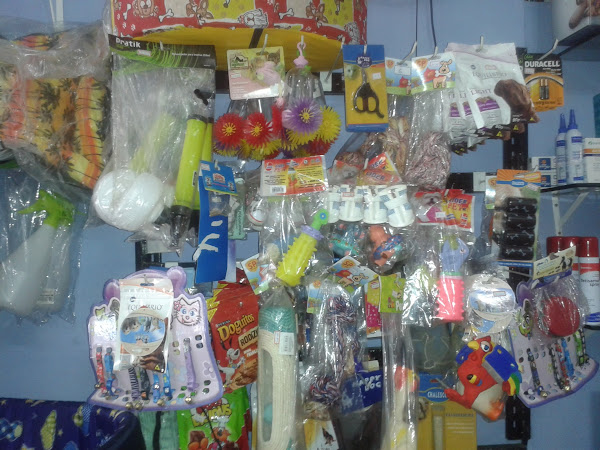 Foto 2 Consulta Veterinária em domicílio