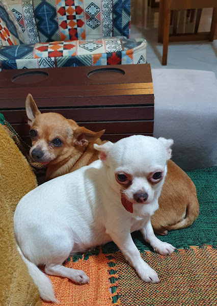 Foto 1 Laboratório Genesi