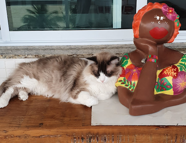 Foto 2 Laboratório Genesi