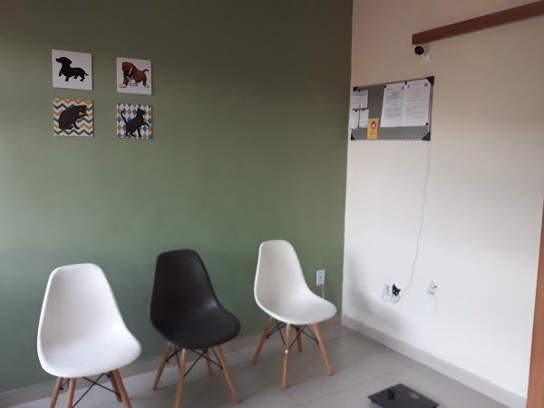 Foto 2 Veterinária. Dra Marcele Trotte