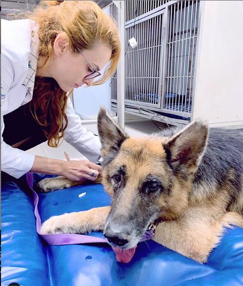 Foto 2 CRV Imagem - Centro de Referência Veterinária - Barra