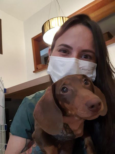 Foto 2 Veterinárias em Casa