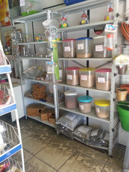 Dra. Mirian Maciel - Endocrinologia Veterinária Dra. Mirian Maciel - Endocrinologia Veterinária