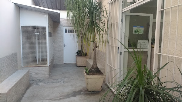 Foto 4 Ilha Vet Center - Clínica Veterinária