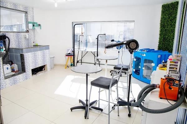 Foto 2 Clínica Veterinária Vida de Cão