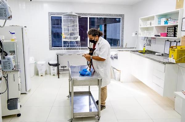 Foto 4 Clínica Veterinária Vida de Cão