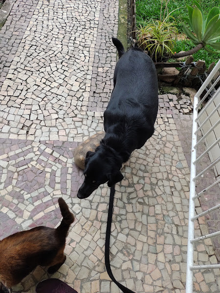 Animal Help Clínica e Prod Vet Animal Help Clínica e Prod Vet