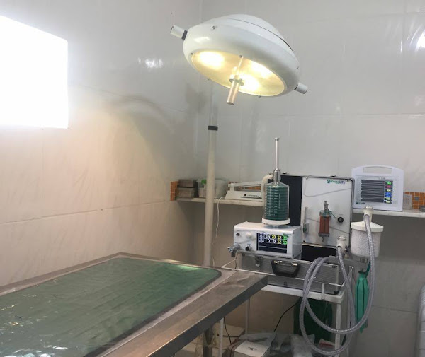 Foto 3 Clínica Veterinária Popular Art Animal - CAMPO GRANDE