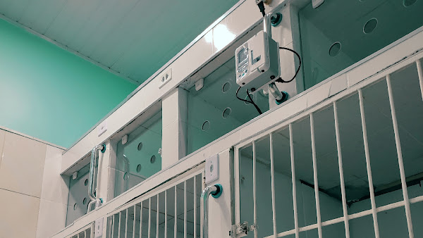 Foto 4 Clínica Veterinária Popular Art Animal - CAMPO GRANDE