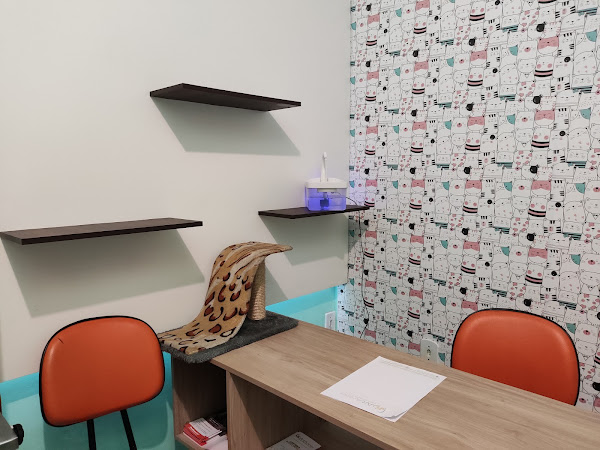 Foto 5 Clínica Veterinária Popular Art Animal - CAMPO GRANDE