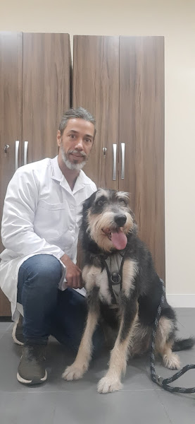 Foto 1 Clínica Veterinária SOS Animal Carioca