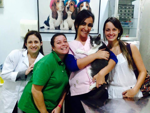 Foto 3 Veterinaria Sulacap