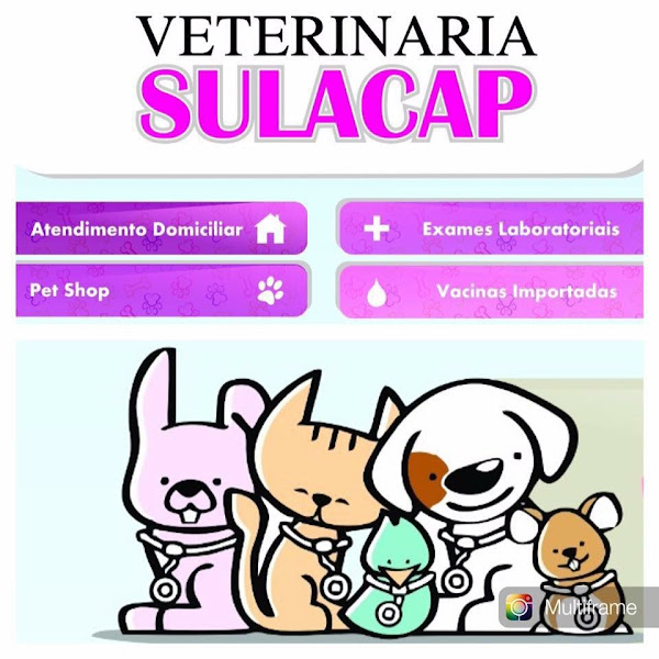 Foto 4 Veterinaria Sulacap