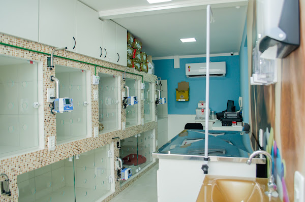 Foto 1 Clínica Veterinária Andrioni - CVA