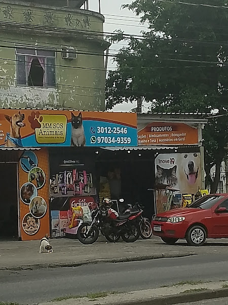 Foto 4 Mm Sos Animais