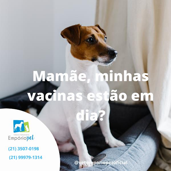 Clínica Veterinária Empório Pet