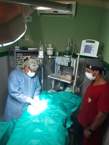 Veterinária RCC Veterinária RCC