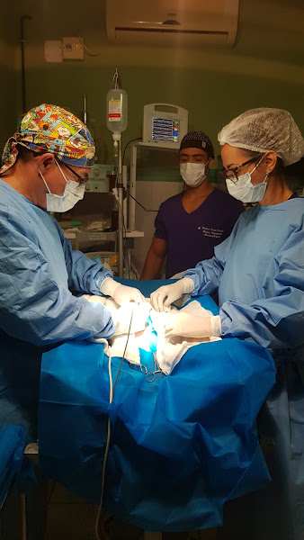 Foto 1 Veterinária RCC