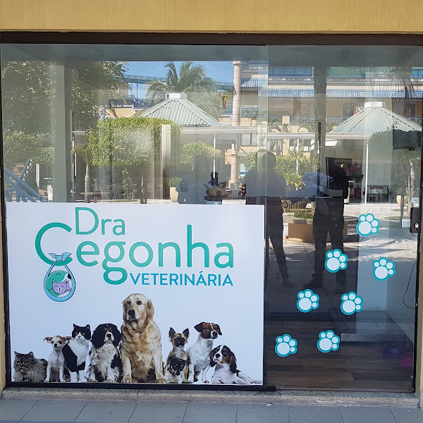 Clínica Veterinária Dra. Cegonha