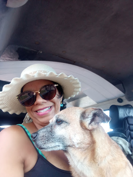 NSP Radiologia e Exames Veterinários