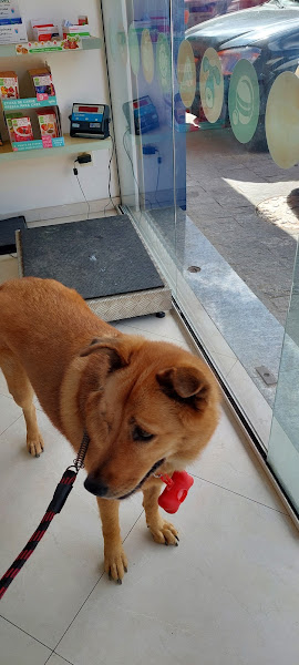 Clínica Veterinária Dr. Stenio