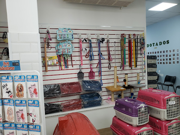 Clinica Veterinária Clinica Veterinária