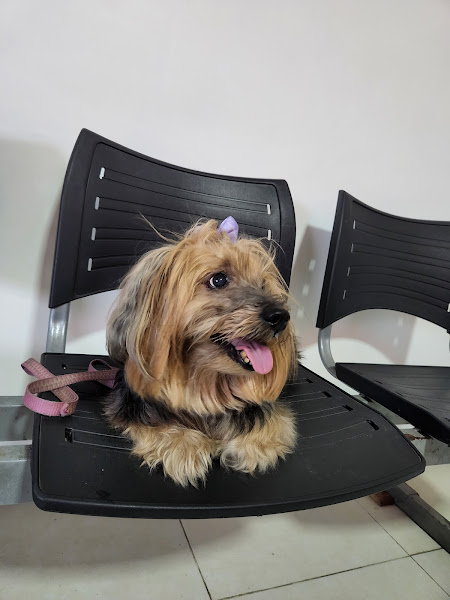 Solvet Ultra Solvet Ultra