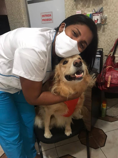 Veterinária Vet love