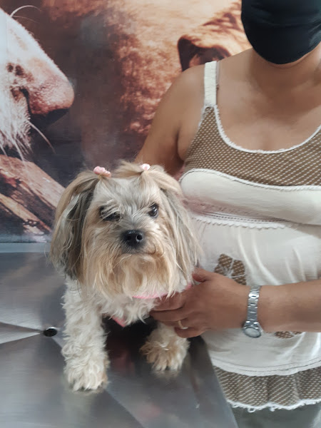 Veterinária Guaratiba