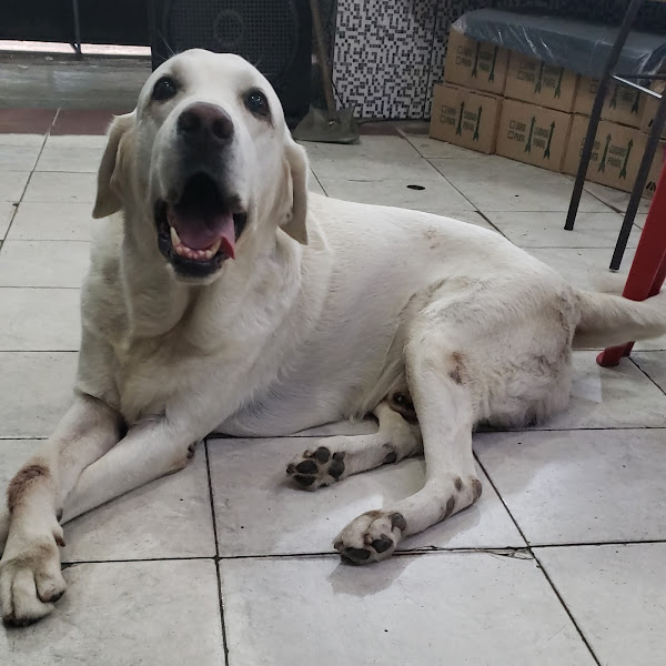 Foto 2 Hércules Rações