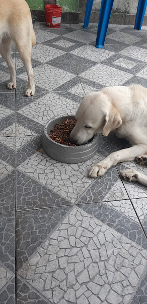 Foto 3 Hércules Rações