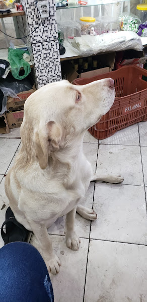 Foto 4 Hércules Rações