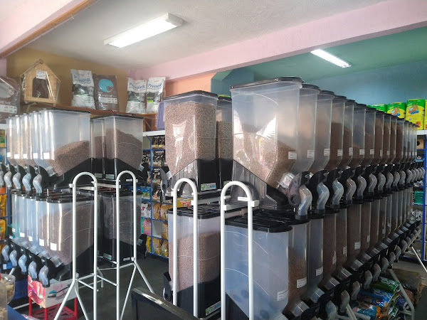 Foto 1 ARCA DE NOÉ RAÇÕES