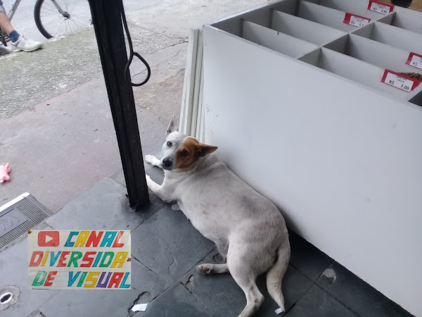 Foto 6 ARCA DE NOÉ RAÇÕES