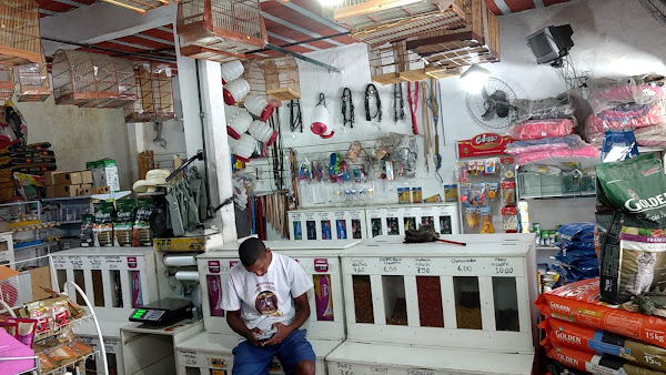 Foto 5 Paulinho da Ração