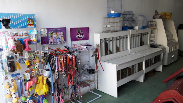 Foto 3 Gato Mole Rações