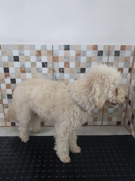 Foto 2 Ponto das Rações