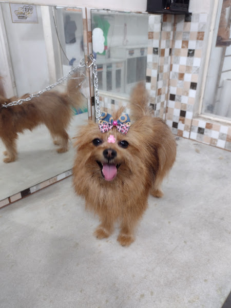 Foto 3 Ponto das Rações