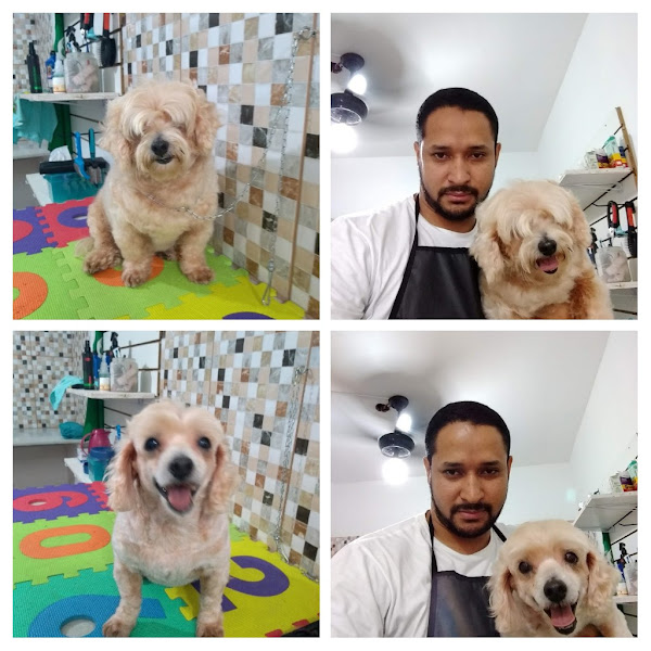 Foto 4 Ponto das Rações