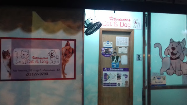 Foto 4 Dog Copa Boutique Canina