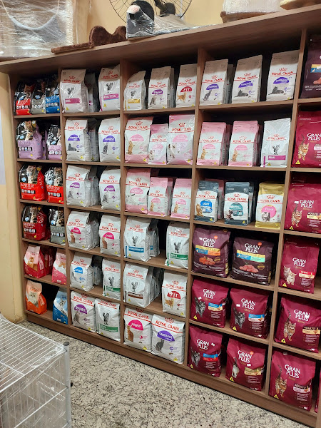 Foto 1 Dogao Pet Shop Catete