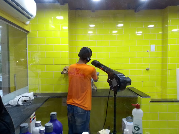 Foto 3 OkPet Cosme Velho