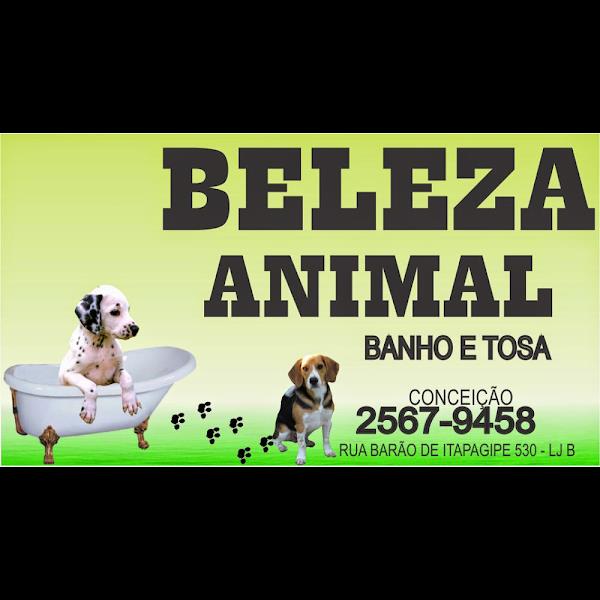 Foto 1 Beleza Animal