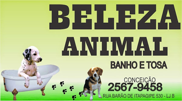 Foto 2 Beleza Animal Foto 2 Beleza Animal