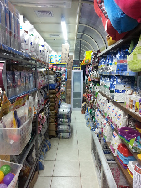 Foto 1 Big Dog do Humaitá Comércio